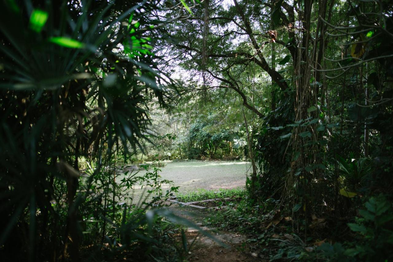 Aum Hum Homestay Fang Luaran gambar